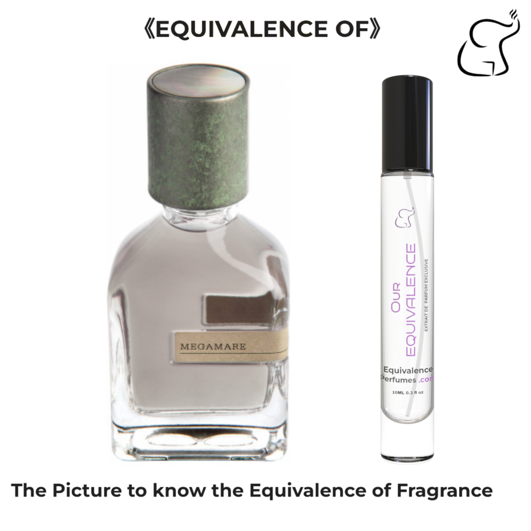 OUR EQUIVALENCE - IMPRESSION OF MEGAMARE BY ORTO PARISI UNIXES 10 ML